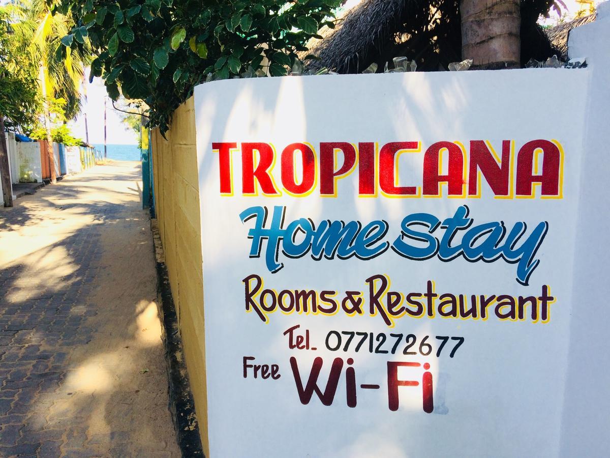 Tropicana Home Stay Arugam Bay Esterno foto