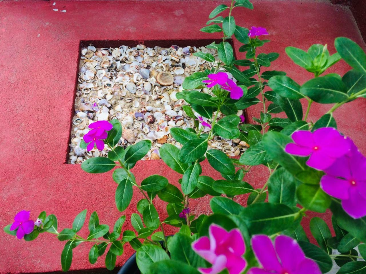 Tropicana Home Stay Arugam Bay Esterno foto