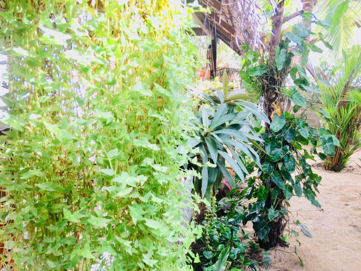 Tropicana Home Stay Arugam Bay Esterno foto