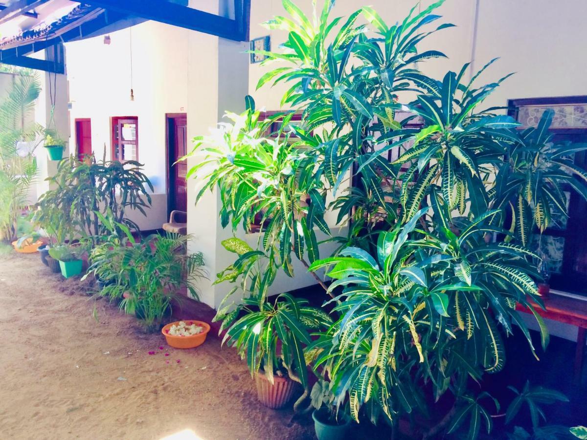 Tropicana Home Stay Arugam Bay Esterno foto