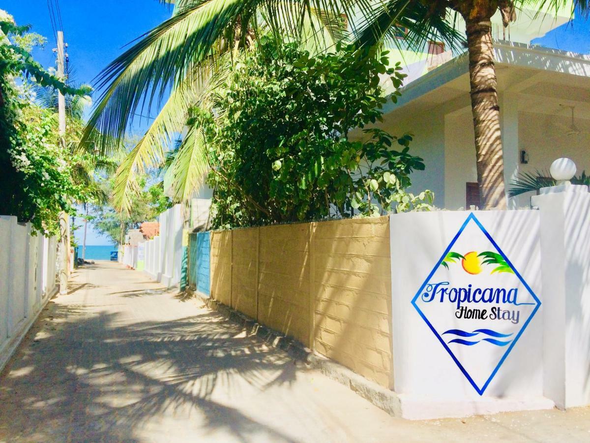 Tropicana Home Stay Arugam Bay Esterno foto